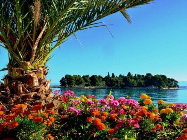 Ugljan-Preko - Villa Majer app. "GRANDE" 4+2