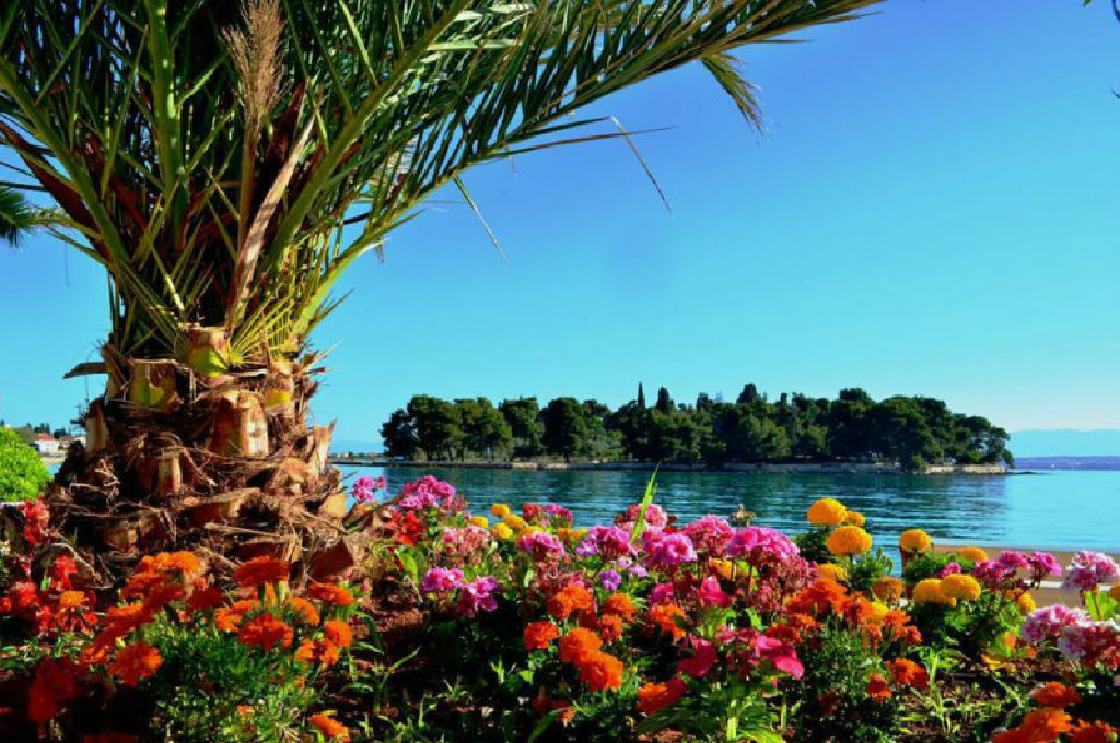 Ugljan-Preko - Villa Majer App. „GROSS“ 4+2